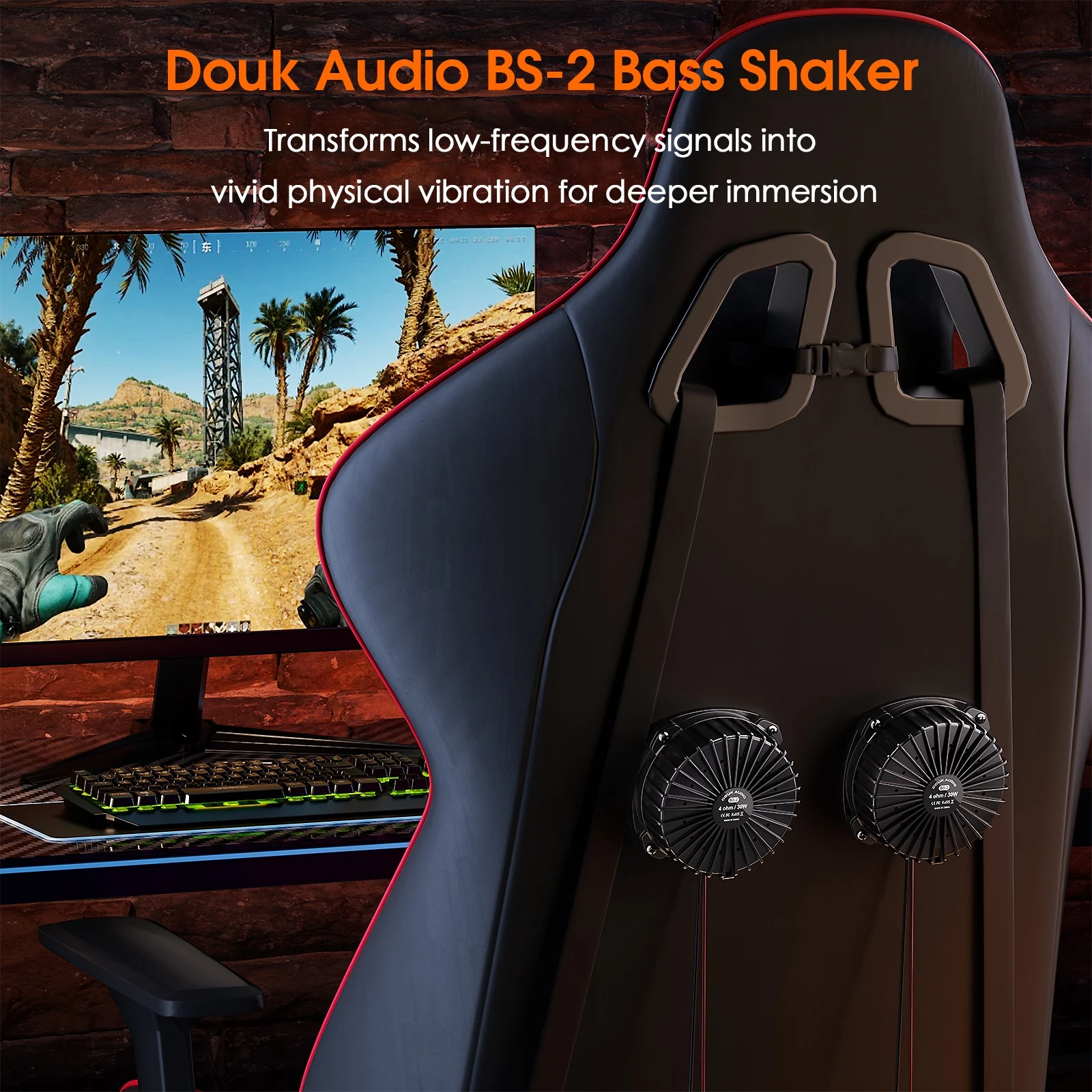 Douk Audio BS-2 30W 4Ω Bass Sh - Gaming Home Accessories review and price
